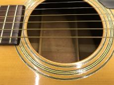 Aria Dreadnought D30_7