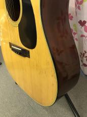 Aria Dreadnought D30_8