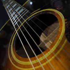 Gibson Southern Jumbo _4