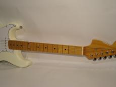 Edwards E-SE125M/RB_3