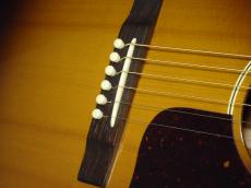 Gibson Blues King_4