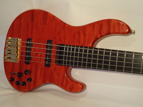 STR GUITARS LS-549
