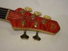 STR GUITARS LS-549_2