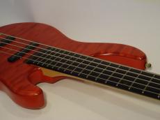 STR GUITARS LS-549_3