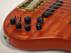 STR GUITARS LS-549_4