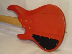 STR GUITARS LS-549_5