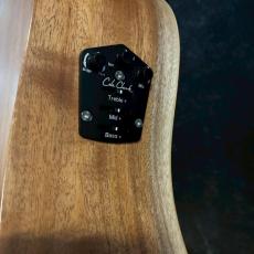 Cole Clark Touring Series　FL Dreadnought　FL1EC-BM 【USED】　【2.1kg】　_15