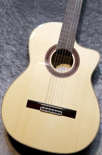Cordoba GK Studio Limited 松/ジリコテ #92206992【横裏板ジリコテ採用】【エレガット】【池袋店在庫品】