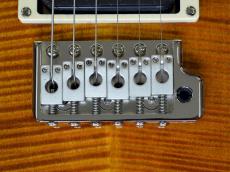 Paul Reed Smith [PRS] 35th Anniversary SE Custom 24_4