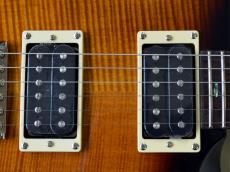 Paul Reed Smith [PRS] 35th Anniversary SE Custom 24_5