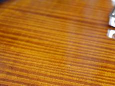 Paul Reed Smith [PRS] 35th Anniversary SE Custom 24_8
