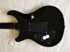 Paul Reed Smith [PRS] 35th Anniversary SE Custom 24_14