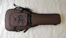 Paul Reed Smith [PRS] 35th Anniversary SE Custom 24_16