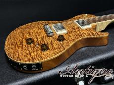 Paul Reed Smith [PRS] Wood Library P245 Singlecut LTD-2015 /Killer Figured-Neck & Honduras Rosewood FB /Paua Abalone Inlay w/Piezo "Private Stock Grade"_6