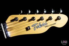 Tokai Vintage Series ATE-2 GS/R_9