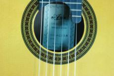 ARIA AC-85A　ALT　松/インディアンローズウッド　オール単板