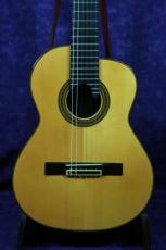 ARIA AC-85A　ALT　松/インディアンローズウッド　オール単板_2