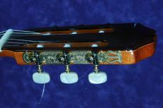 ARIA AC-85A　ALT　松/インディアンローズウッド　オール単板_5