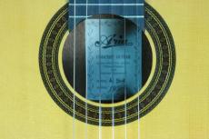 ARIA AC-50A　ALT 松/サペリ