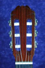 ARIA AC-50A　ALT 松/サペリ_4