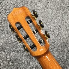Cordoba Stage Guitar Natural Amber【エレガット】_7