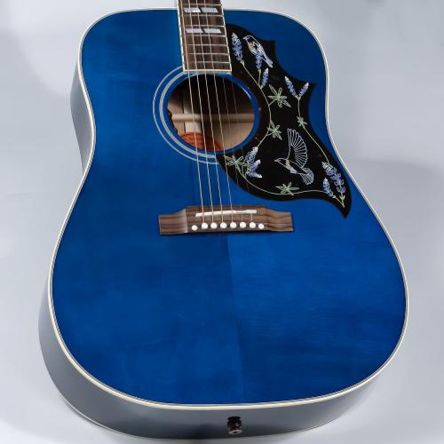 Gibson M.Lambert Bluebird