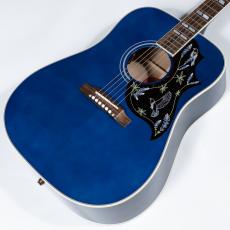 Gibson M.Lambert Bluebird_3