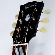 Gibson M.Lambert Bluebird_4