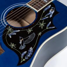 Gibson M.Lambert Bluebird_9