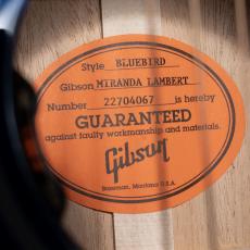 Gibson M.Lambert Bluebird_10