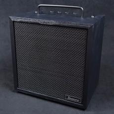 Ibanez IBZ10BV2