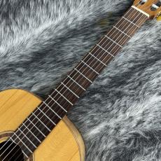 Orphes Valley Guitars Rondo RS_4