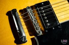 Gibson Historic Collection '59 ES-335  / 2009_5