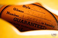 Gibson Historic Collection '59 ES-335  / 2009_6