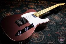 Tokai Vintage SeriesATE/M BGM_9