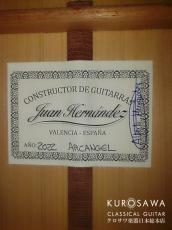 Juan Hernandez [ホアン・エルナンデス] ホアン・エルナンデス ARCANGEL アルカンヘルモデル 松・シープレス【日本総本店2F 在庫品】_5