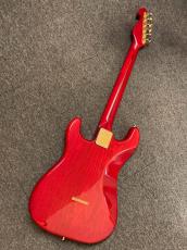 Bill Lawrence BL3M-55G改_2