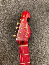 Bill Lawrence BL3M-55G改_3