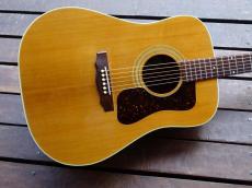 Guild D-40_2