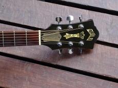Guild D-40_5