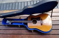 Guild D-40_11