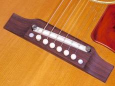Gibson B-25N ADJ '65_6