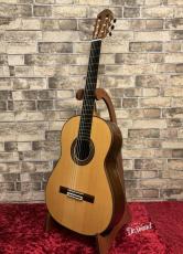 ワルター・ベレット Walter Verreydt ラティスブレーシング　2019年製_2