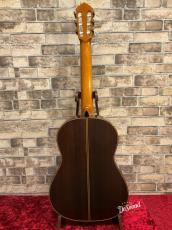 ワルター・ベレット Walter Verreydt ラティスブレーシング　2019年製_7