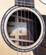 Taylor 814ce V-Class_4