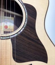 Taylor 814ce V-Class_5