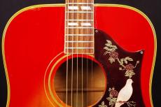 Gibson DOVE_8