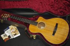 Taylor 312CE-N_2