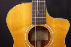 Taylor 312CE-N_8