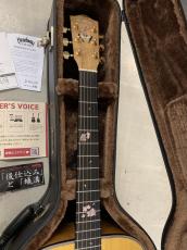 Headway HD-SC '24 SF.S/STD 琥珀 2024年製 アディロンダックトップ!_5